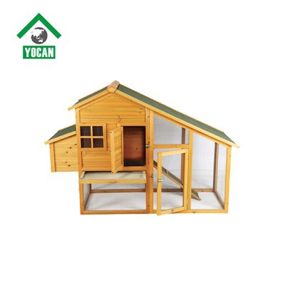 چگونه مرغداری را تزیین کنیم؟